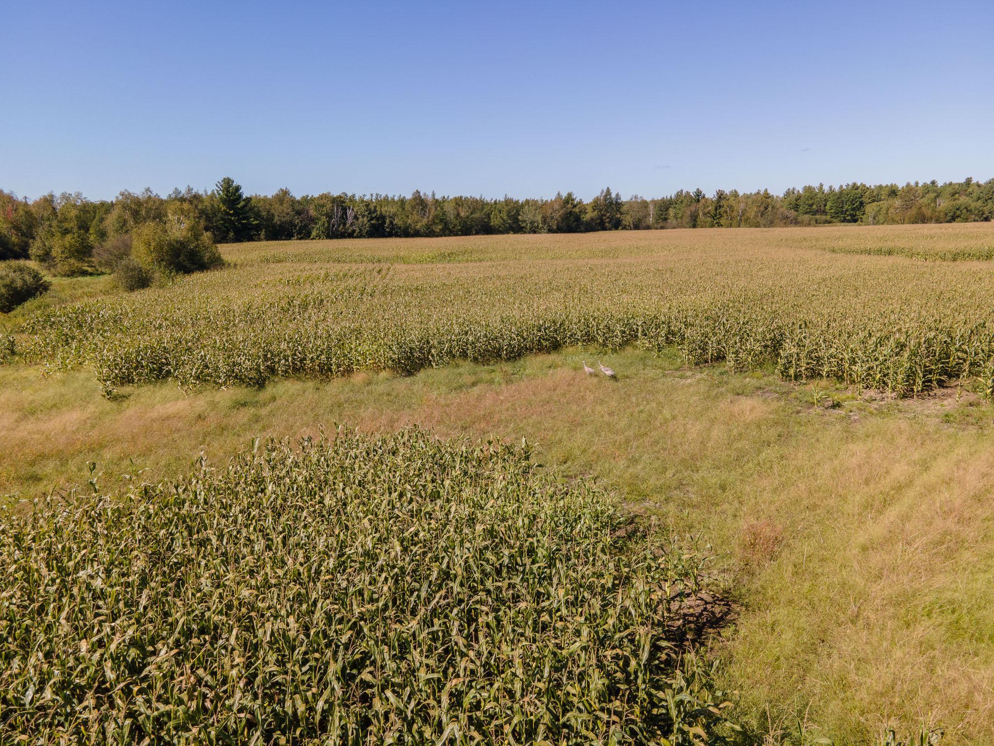 0 Hinckley Road Hinckley, MN 55037 - Photo 14 of 18