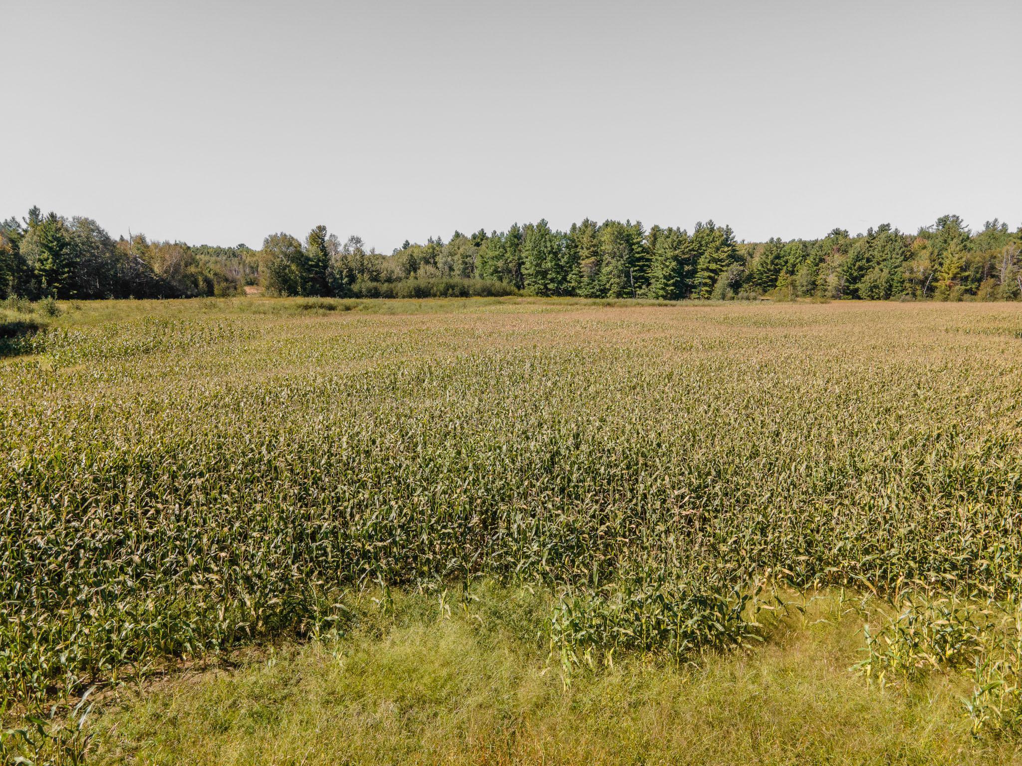0 Hinckley Road Hinckley, MN 55037 - Photo 17 of 18