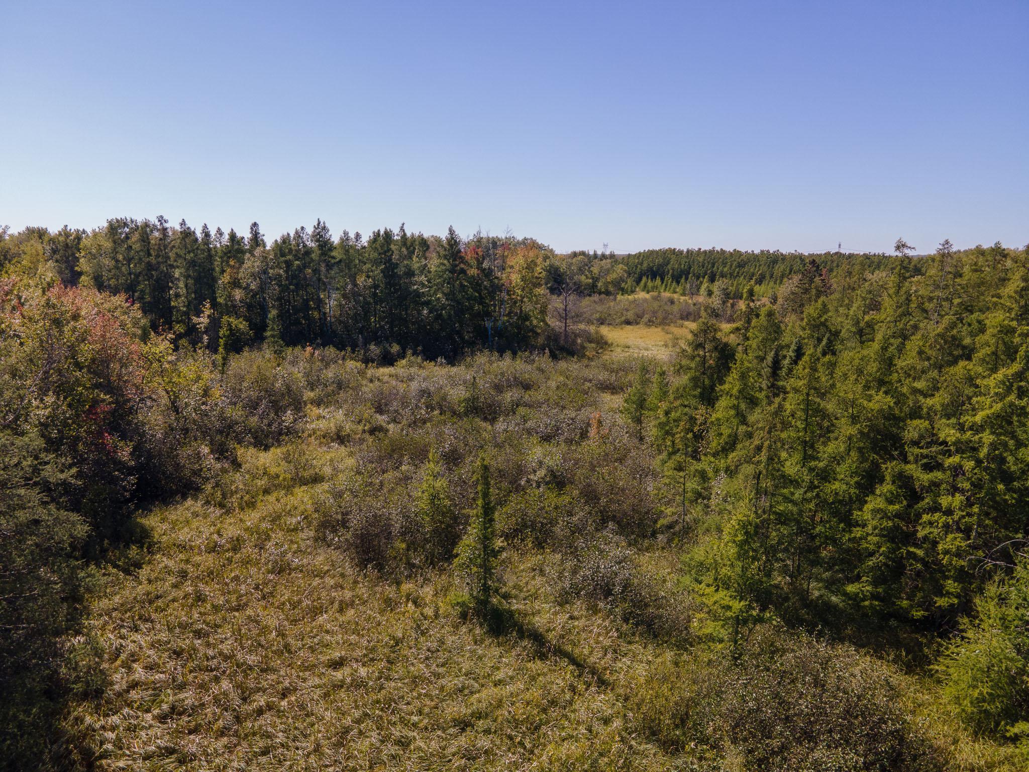 0 Hinckley Road Hinckley, MN 55037 - Photo 8 of 18