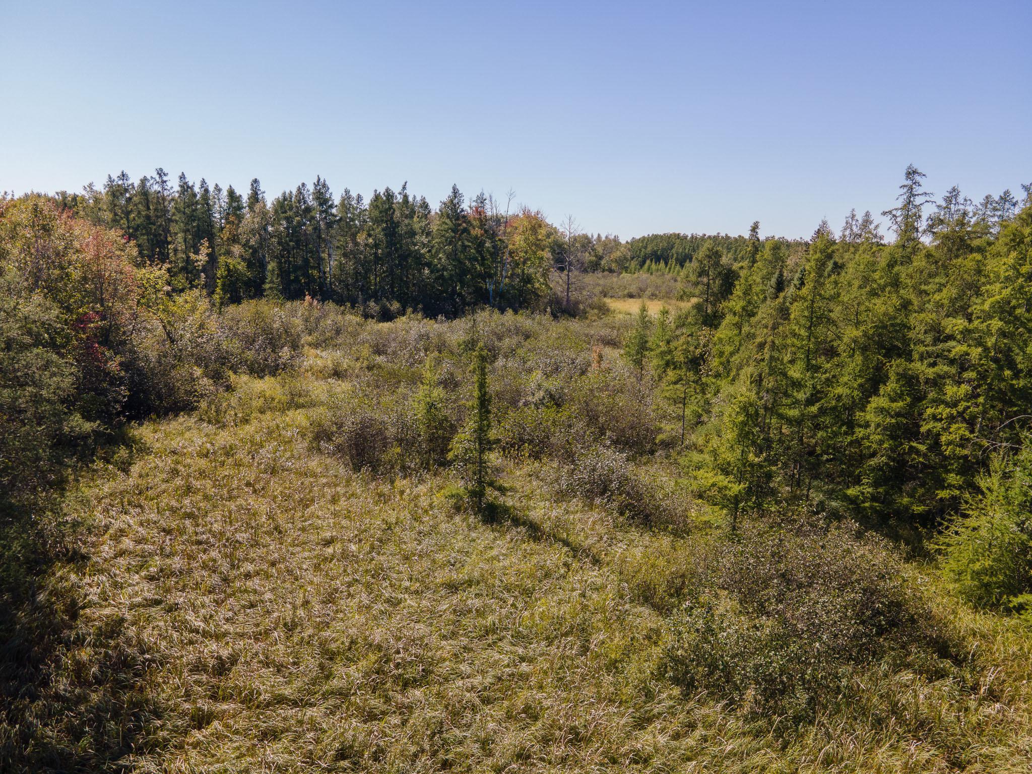 0 Hinckley Road Hinckley, MN 55037 - Photo 9 of 18