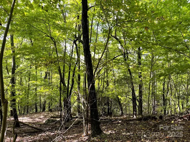 a backyard of a house with lots of trees