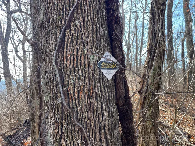a wooden bench sitting in middle of a yard