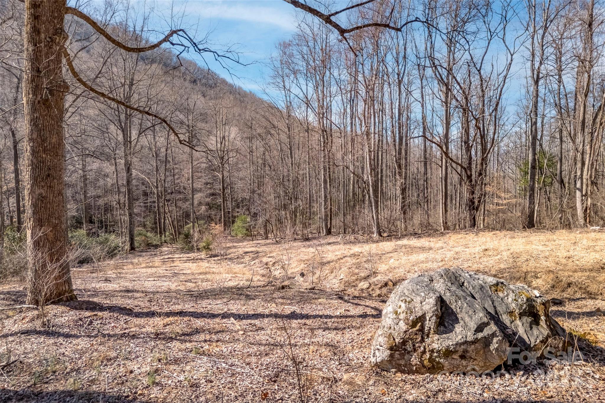 Tbd Billy Cv Road Candler, NC 28715 - Photo 15 of 37 a wooden bench sitting in middle of a yard