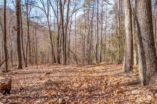 a view of outdoor space with trees all around
