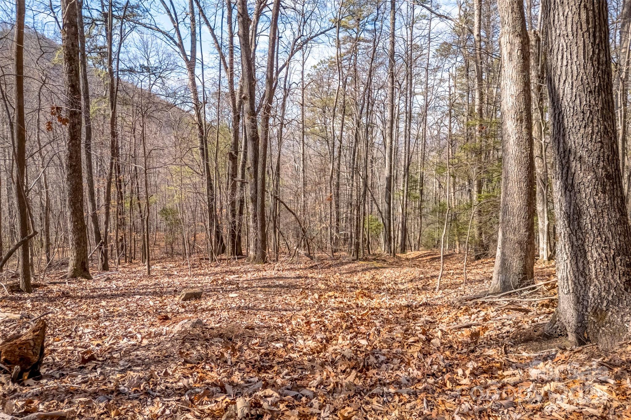 Tbd Billy Cv Road Candler, NC 28715 - Photo 16 of 37 a view of a backyard of the house