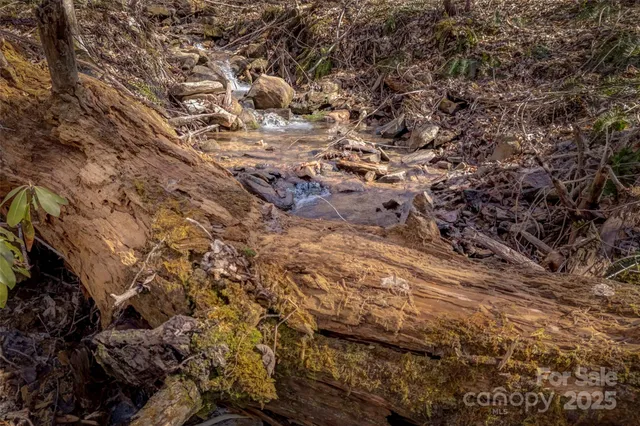 a view of a backyard of a house