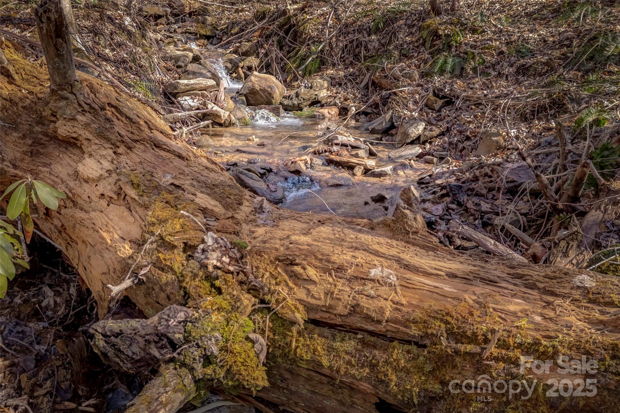 Tbd Billy Cv Road Candler, NC 28715 - Photo 17 of 37 a view of outdoor space with trees all around