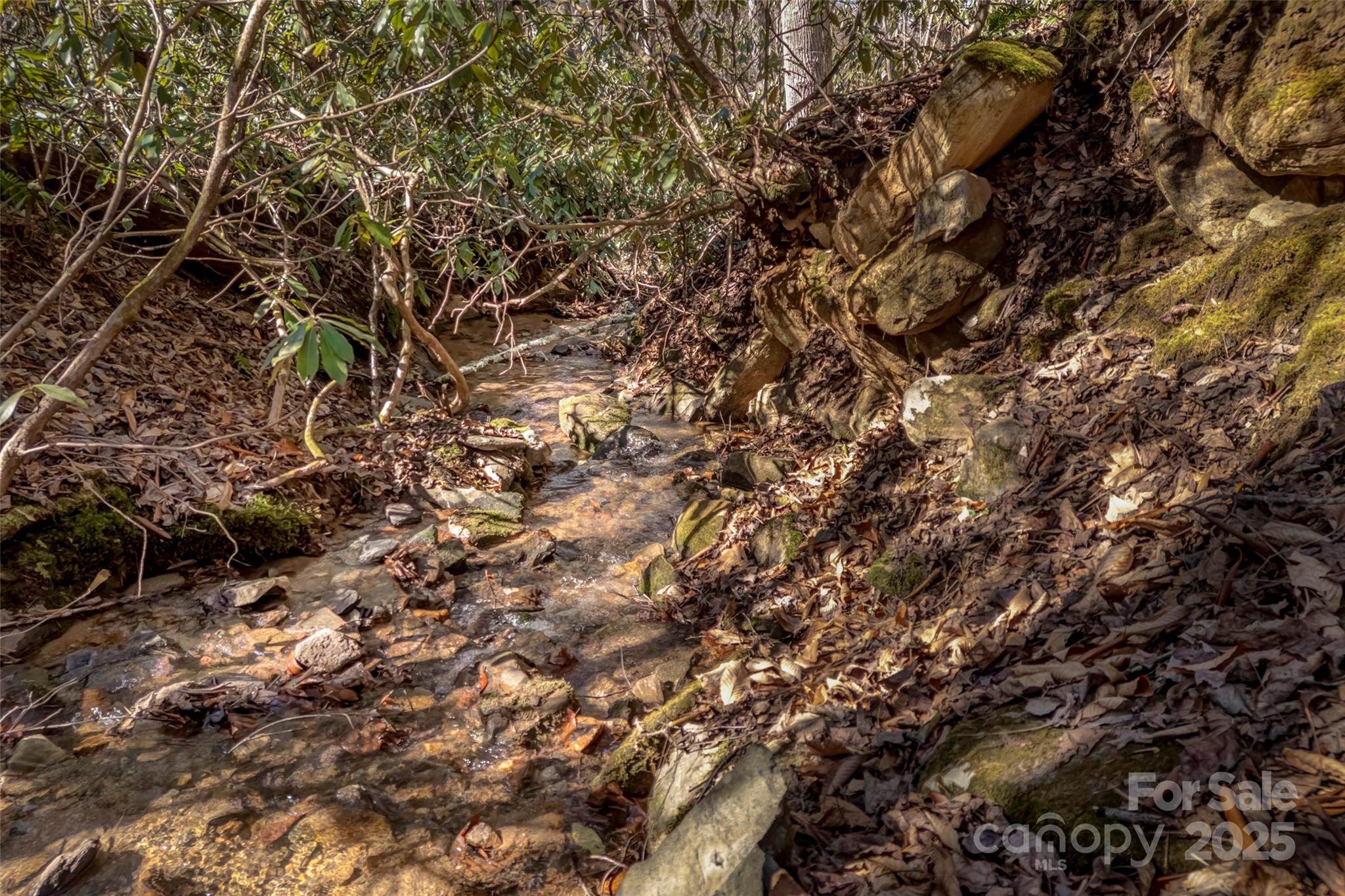 Tbd Billy Cv Road Candler, NC 28715 - Photo 19 of 37 a view of a tree