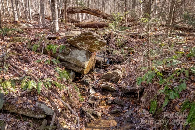 a view of a dry yard with wooden fence