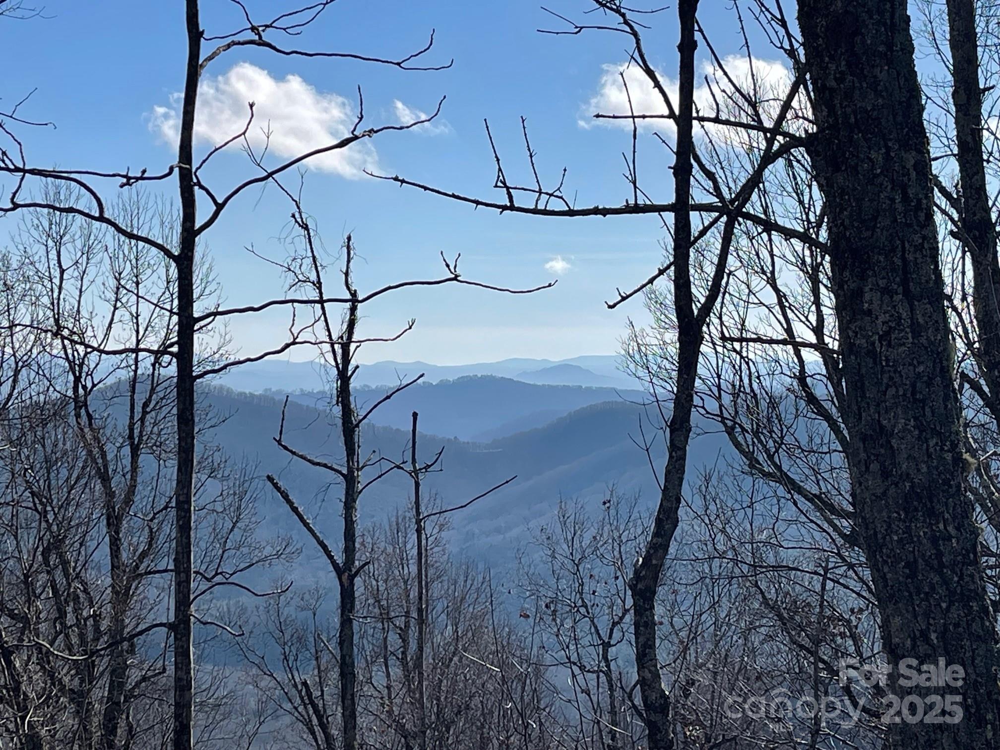 Tbd Billy Cv Road Candler, NC 28715 - Photo 2 of 37 a view of a yard with a tree