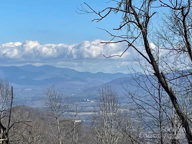 a view of a backyard of a house