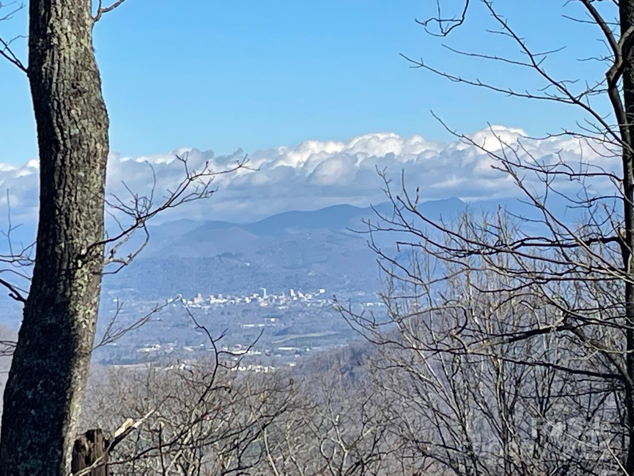 Tbd Billy Cv Road Candler, NC 28715 - Photo 22 of 37 a view of a backyard of a house