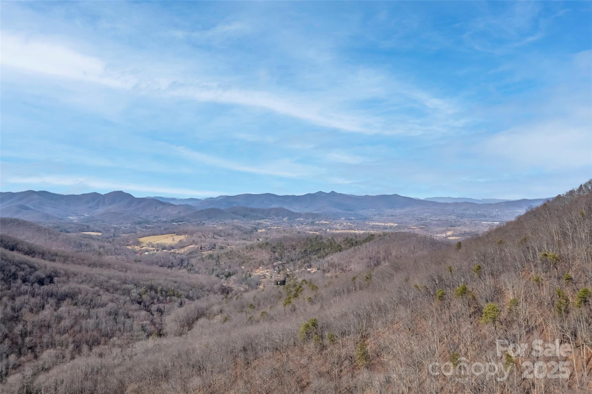 Tbd Billy Cv Road Candler, NC 28715 - Photo 23 of 37 an aerial view of houses covered in trees