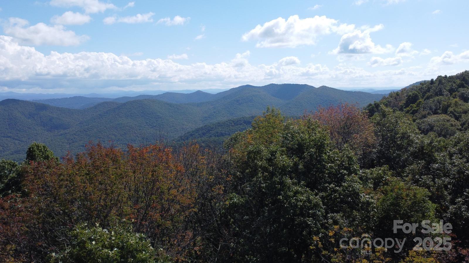 Tbd Billy Cv Road Candler, NC 28715 - Photo 26 of 37 a view of a bunch of trees in a field