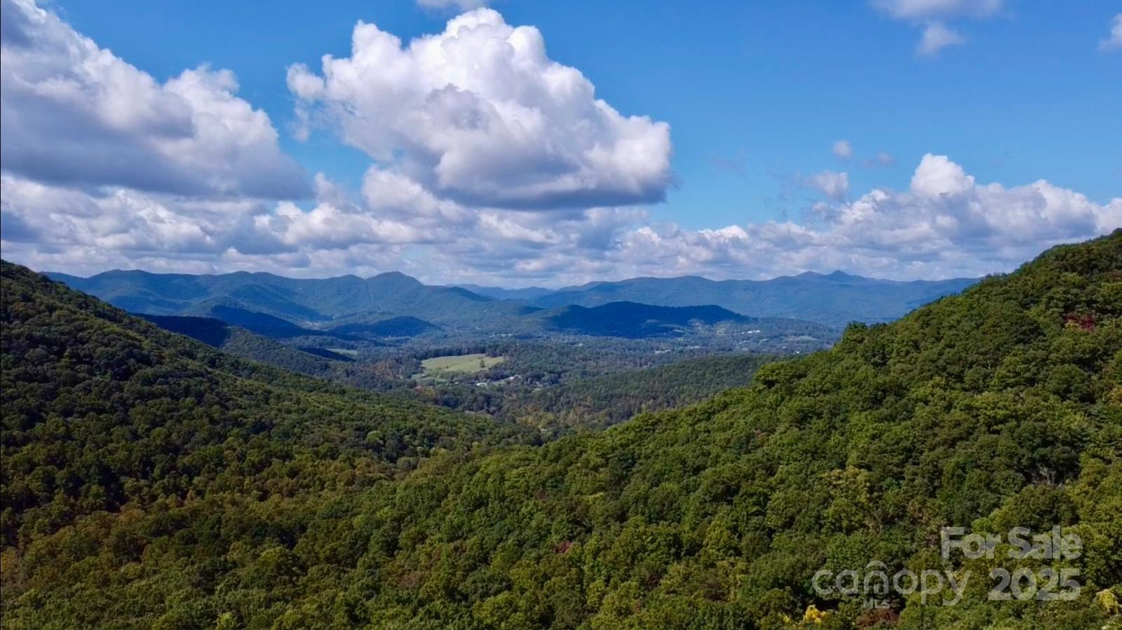 Tbd Billy Cv Road Candler, NC 28715 - Photo 27 of 37 a view of a bunch of trees