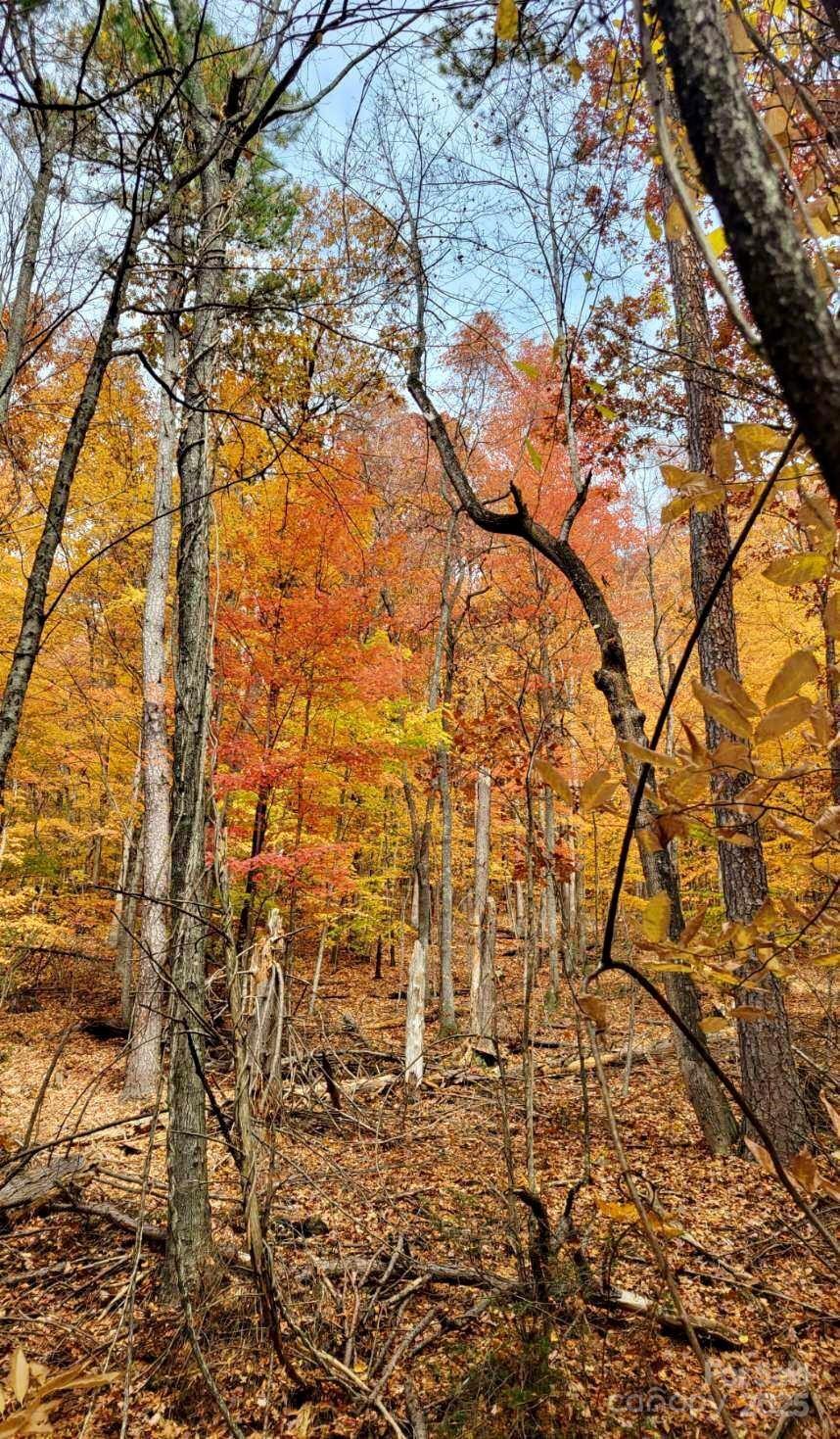 Tbd Billy Cv Road Candler, NC 28715 - Photo 28 of 37 a backyard of a building