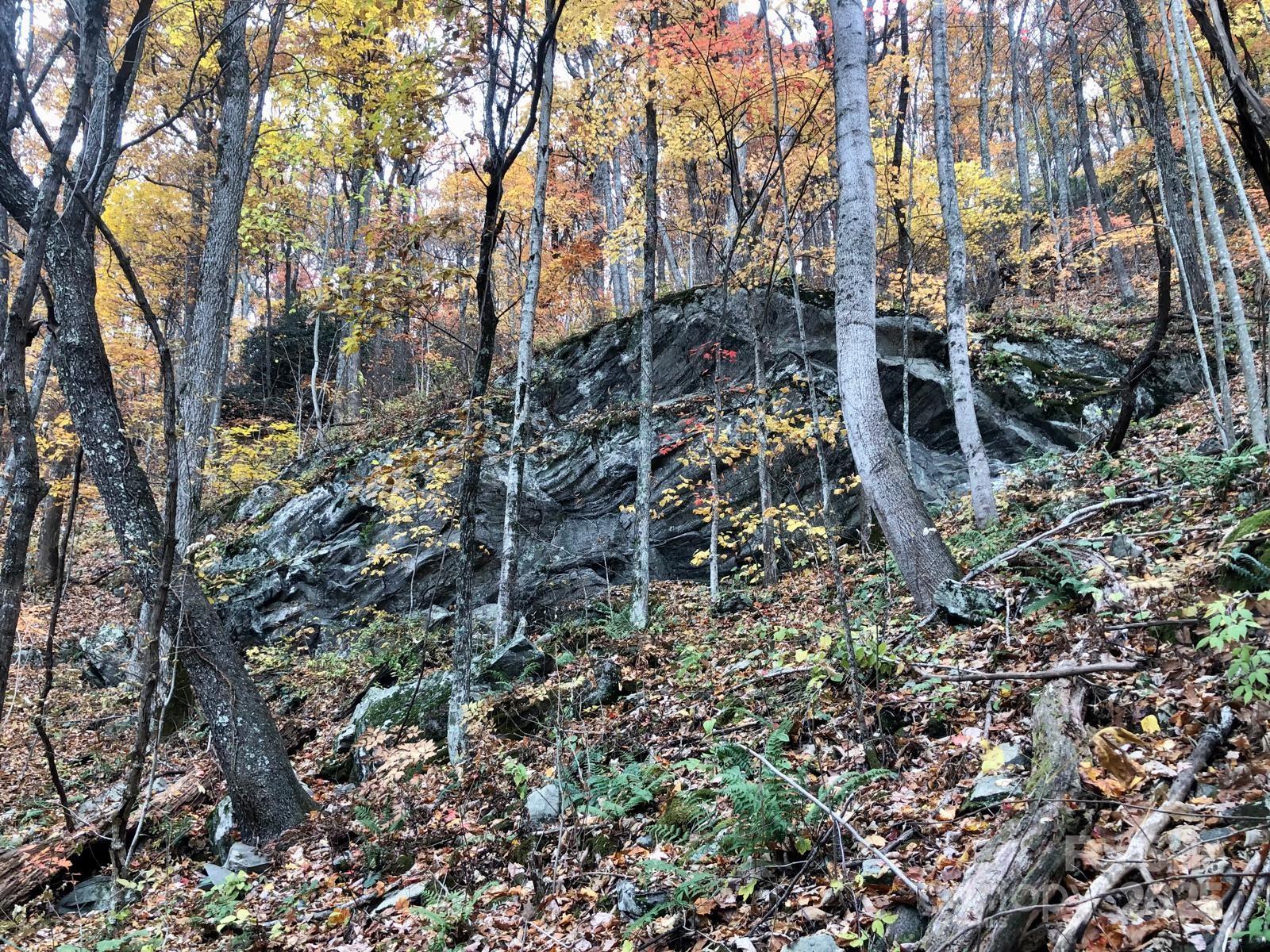 Tbd Billy Cv Road Candler, NC 28715 - Photo 29 of 37 a view of outdoor space