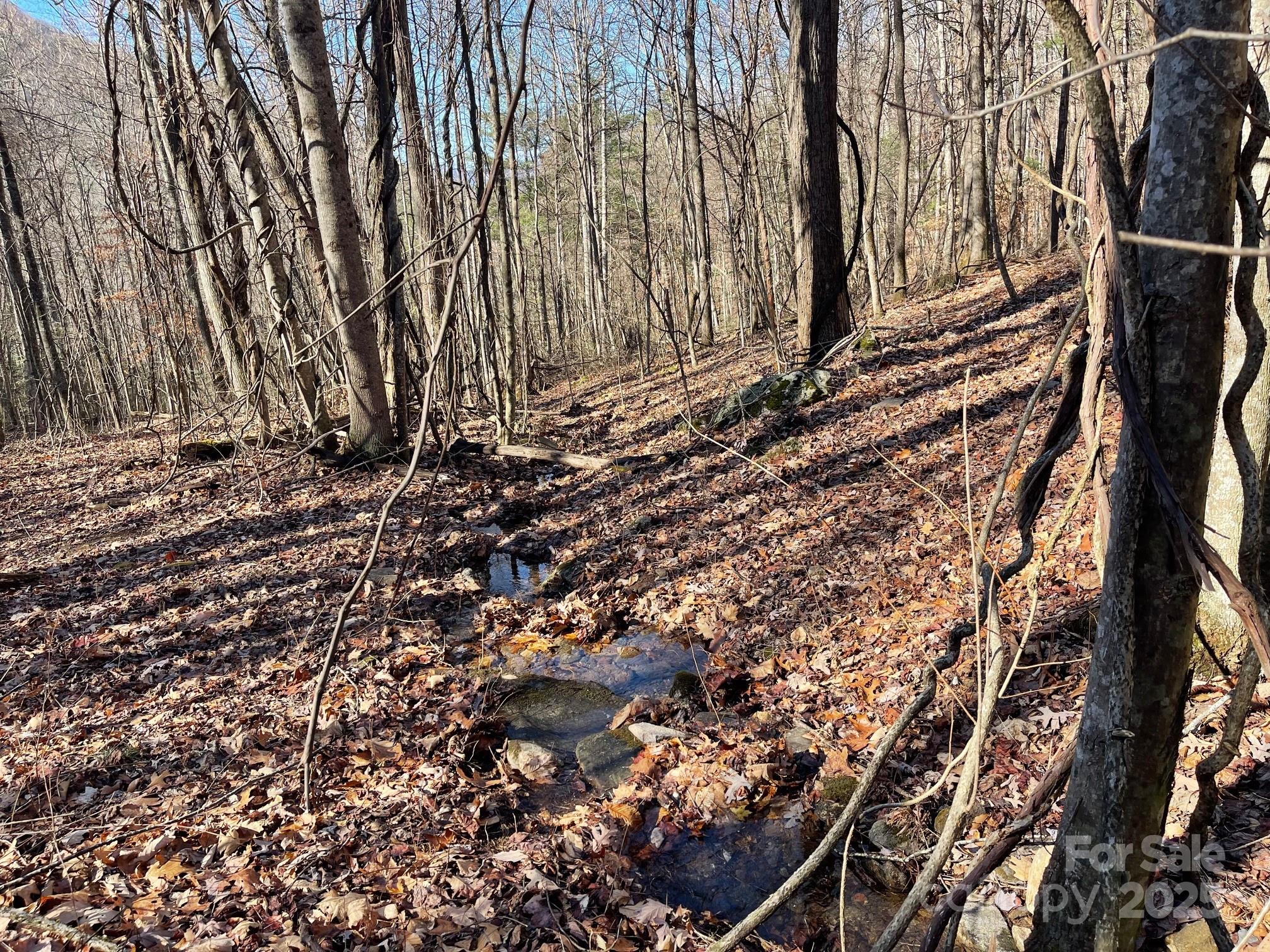 Tbd Billy Cv Road Candler, NC 28715 - Photo 30 of 37 a view of a yard with plants and wooden fence
