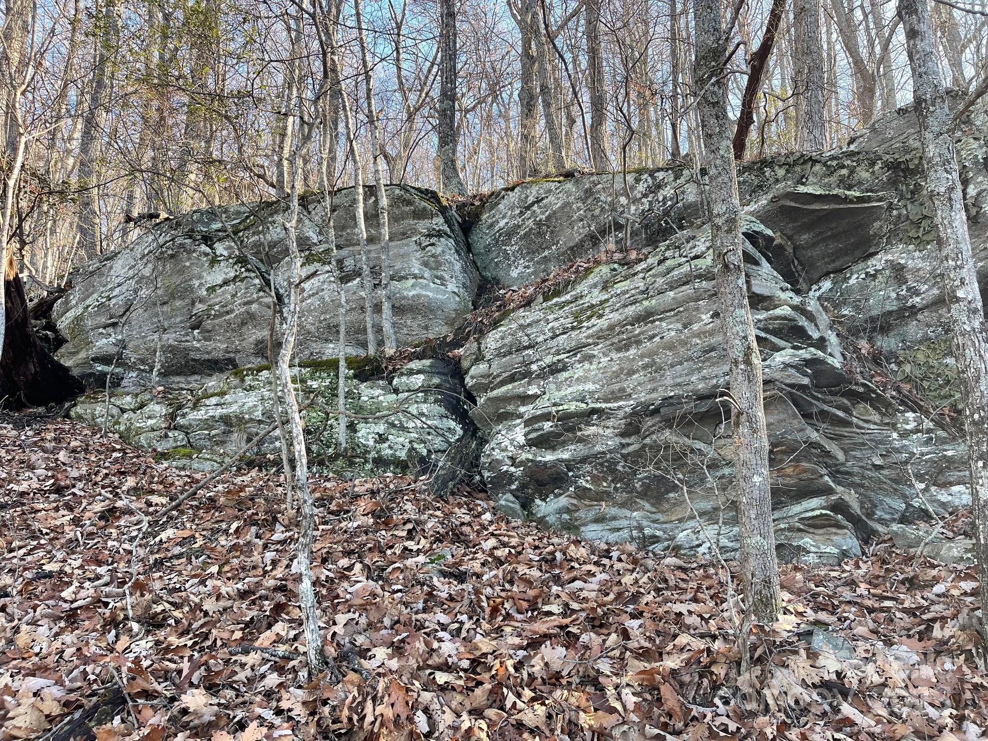 Tbd Billy Cv Road Candler, NC 28715 - Photo 31 of 37 a view of a yard with a tree