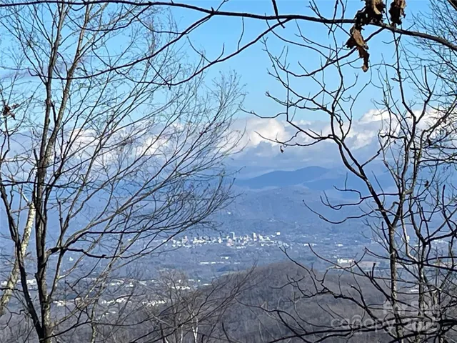 a backyard of a building with large trees