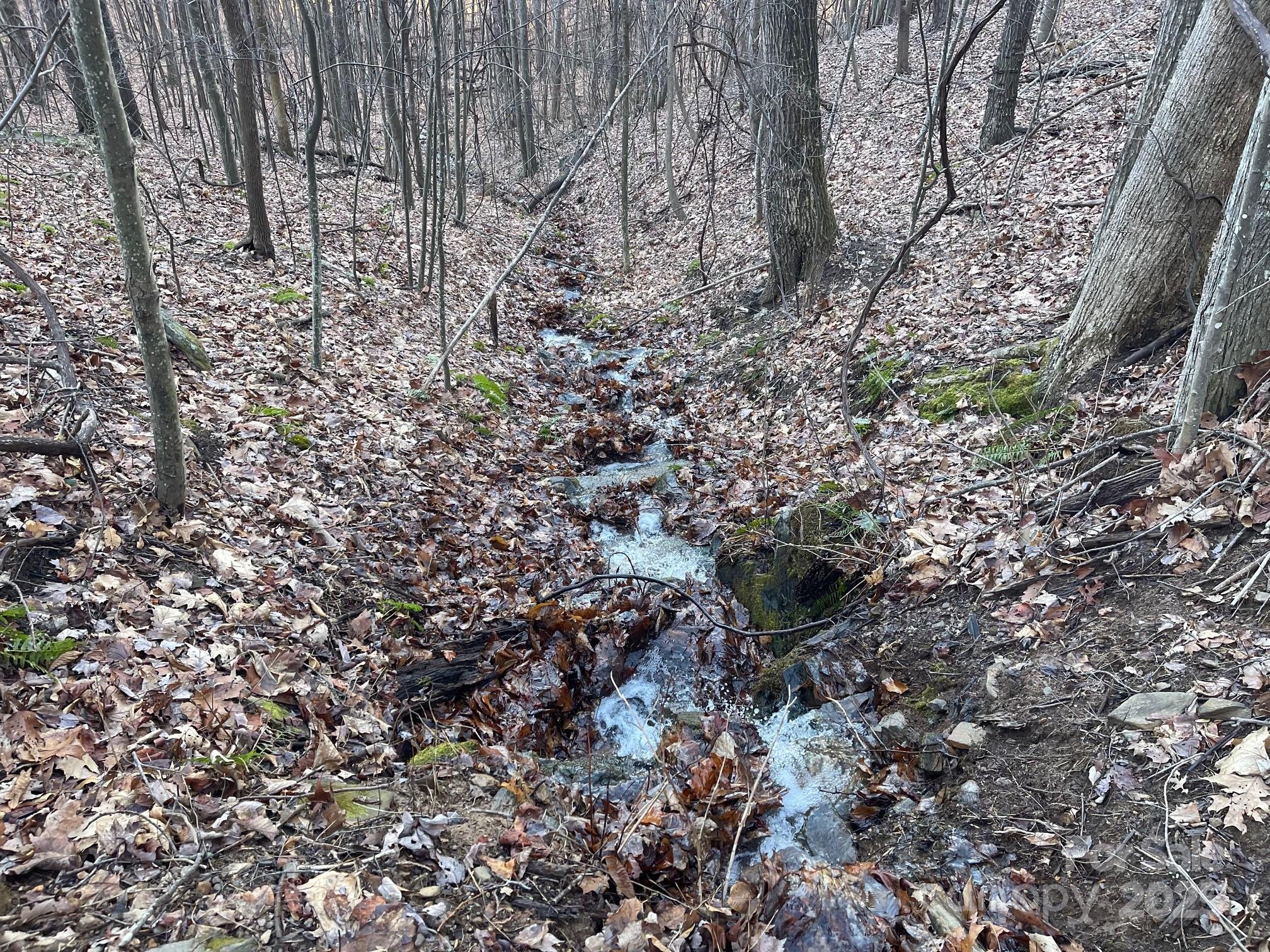 Tbd Billy Cv Road Candler, NC 28715 - Photo 34 of 37 a view of a forest with a tree