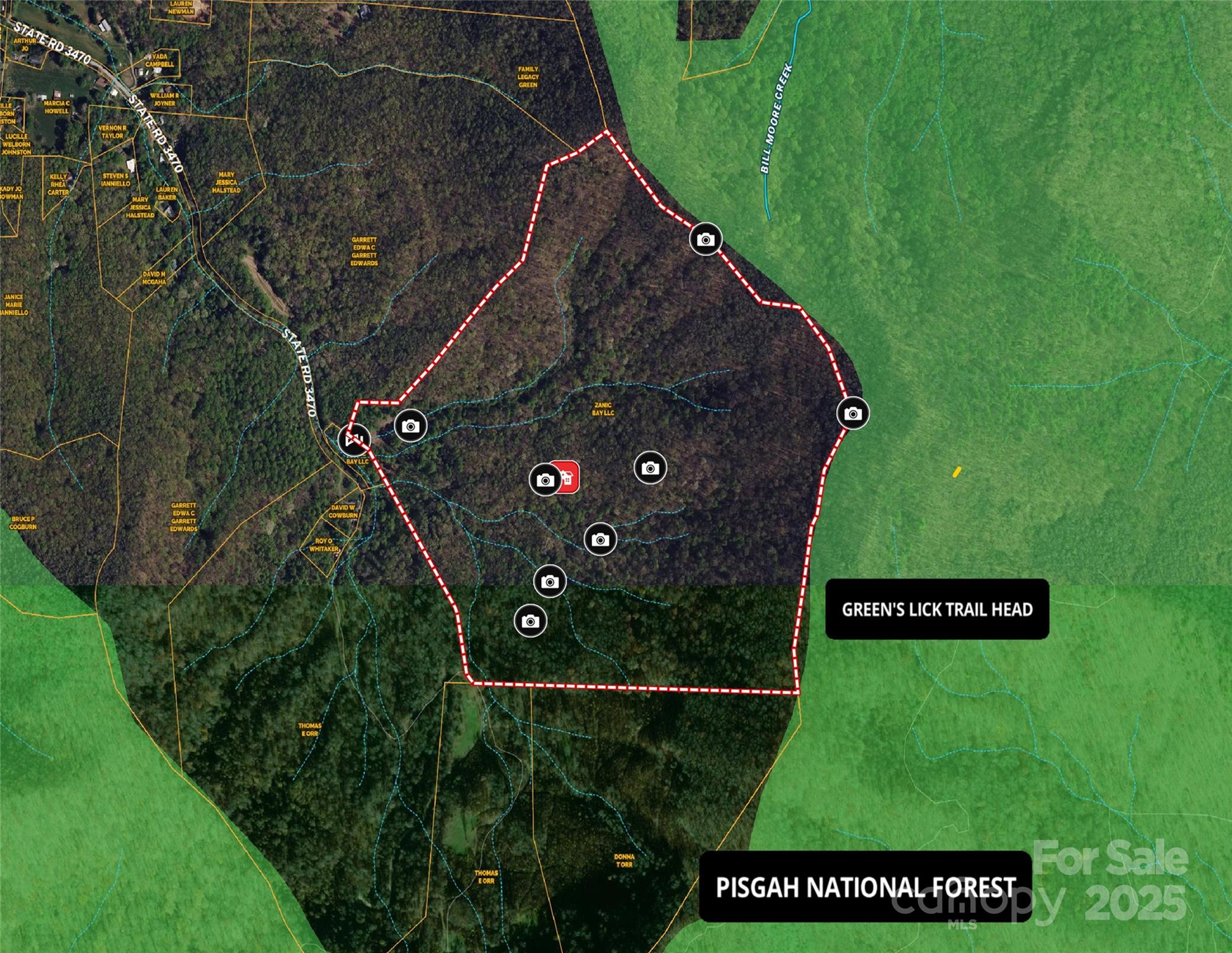 Tbd Billy Cv Road Candler, NC 28715 - Photo 5 of 37 a view of a sign in a garden