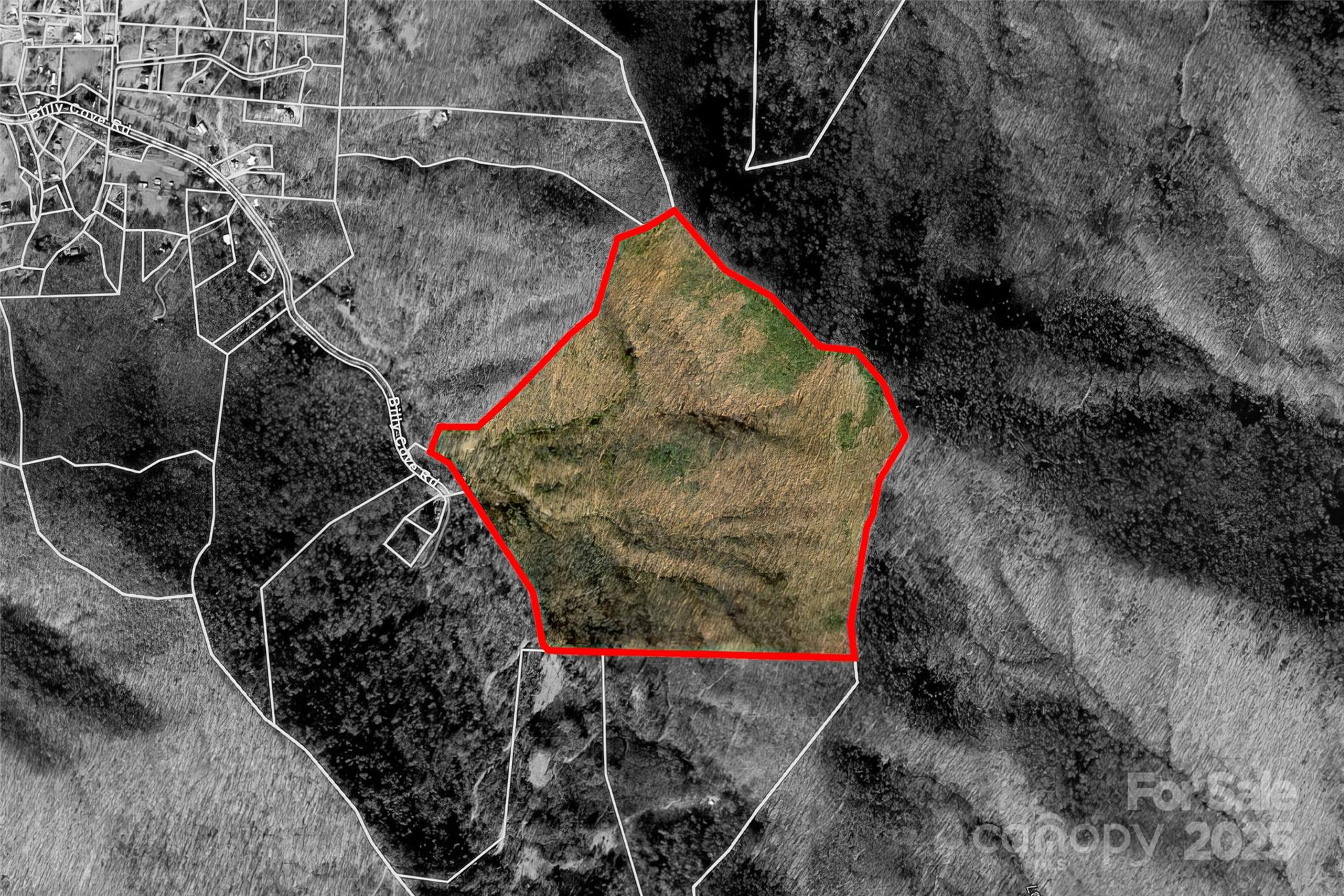 Tbd Billy Cv Road Candler, NC 28715 - Photo 6 of 37 a view of outdoor space