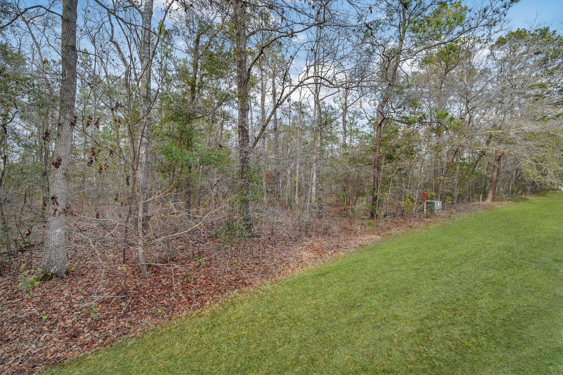 6610 Old Jacksonboro Road Ravenel, SC 29470 - Photo 47 of 57 DSC03709.jpg-SMALL