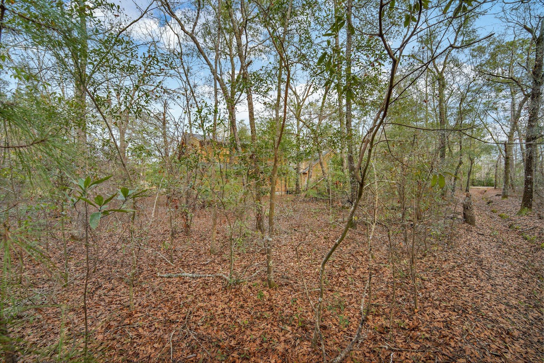 6610 Old Jacksonboro Road Ravenel, SC 29470 - Photo 48 of 57 DSC03719.jpg-SMALL