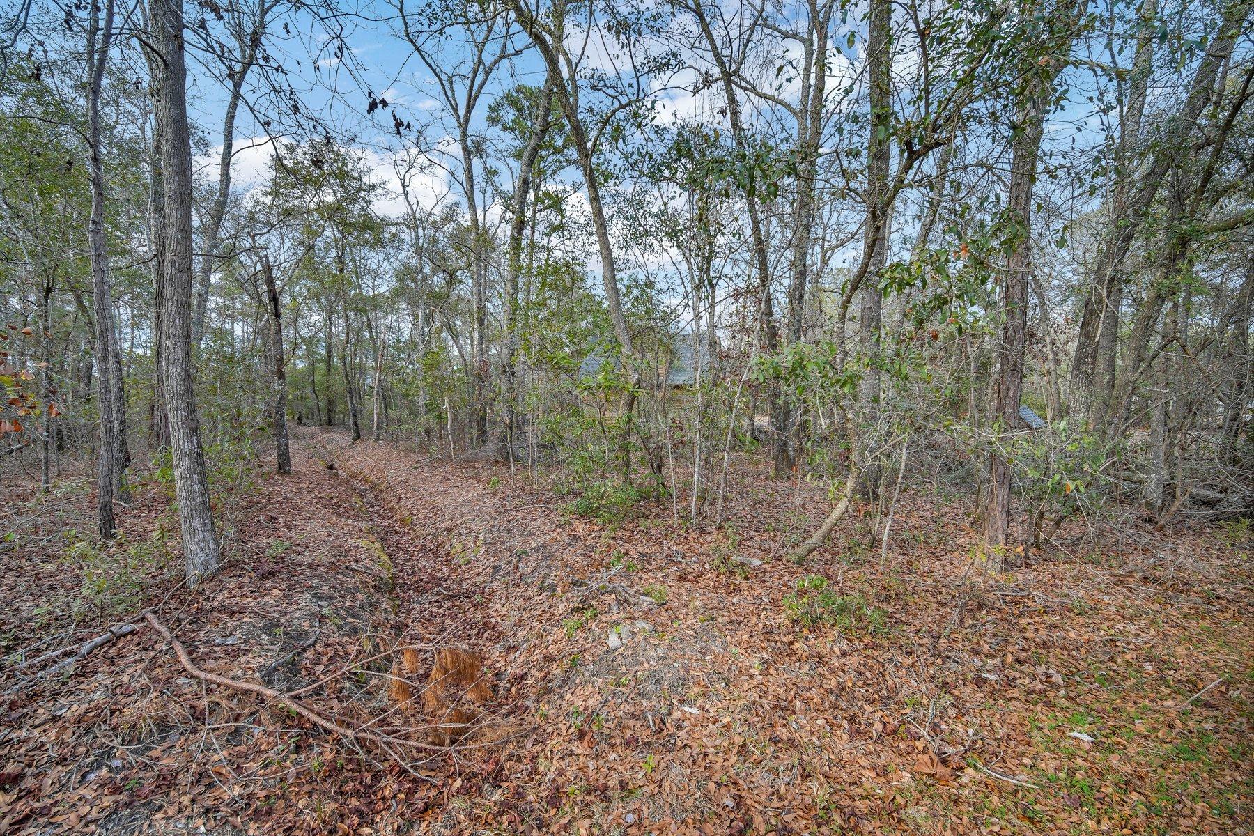 6610 Old Jacksonboro Road Ravenel, SC 29470 - Photo 49 of 57 DSC03704.jpg-SMALL