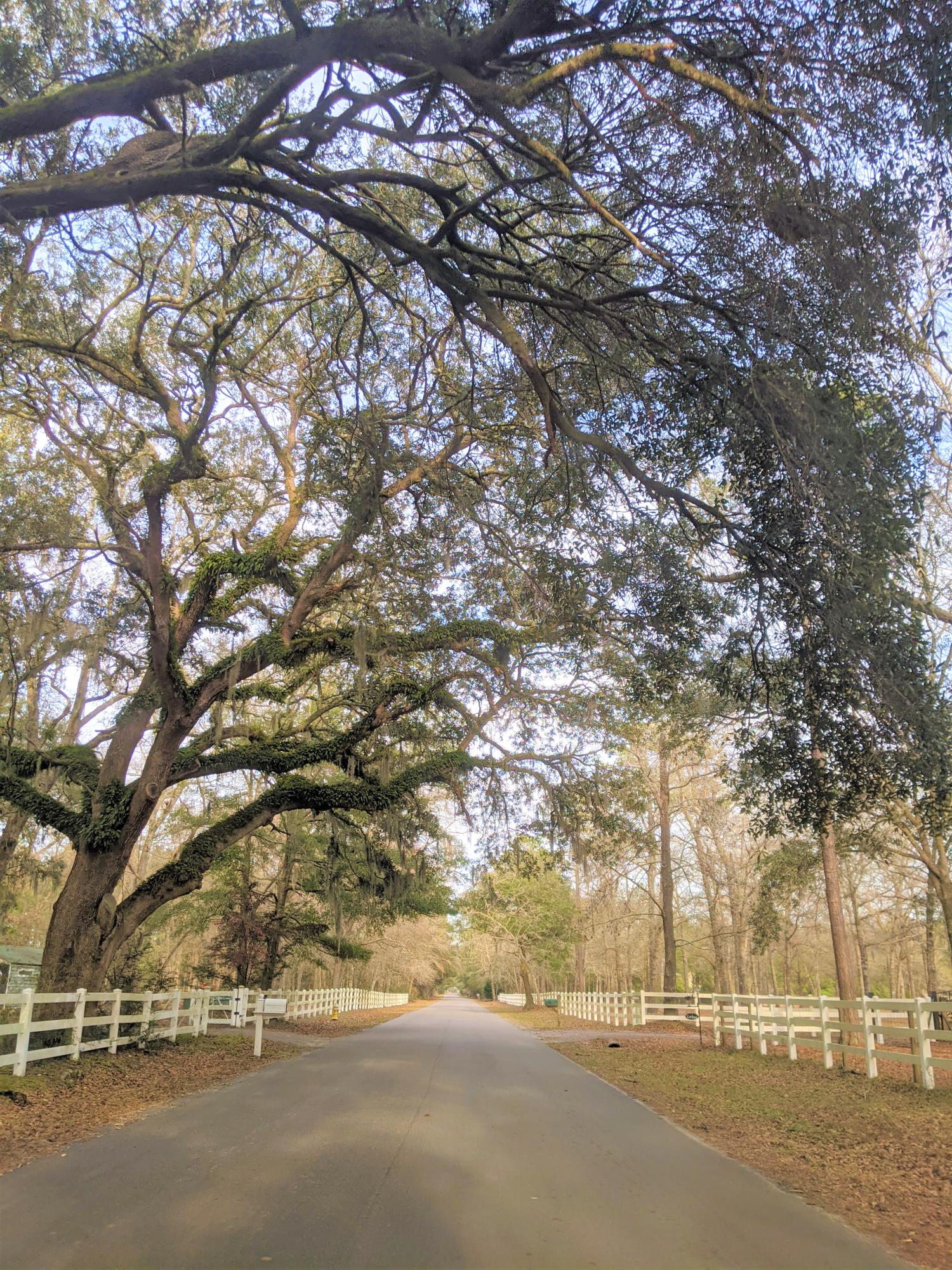 6610 Old Jacksonboro Road Ravenel, SC 29470 - Photo 57 of 57 PXL_20210209_212745482