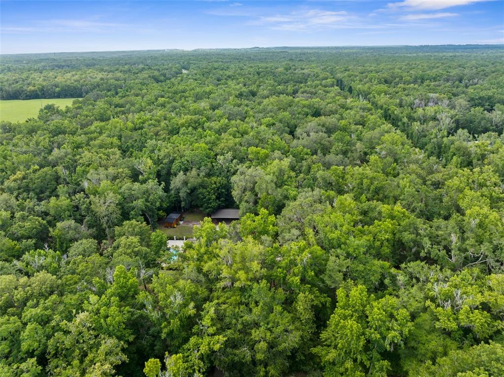 12085 Stringer Road Brooksville, FL 34601 - Photo 96 of 98