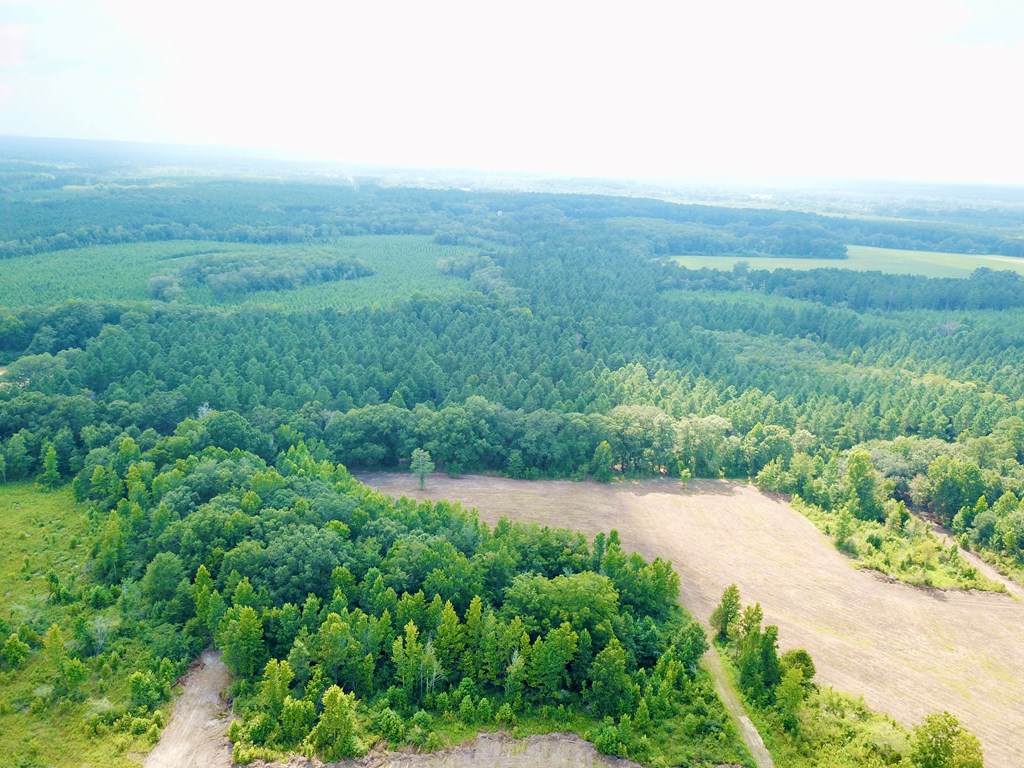 L5 New Hinson Road Slocomb, AL 36375 - Photo 8 of 23
