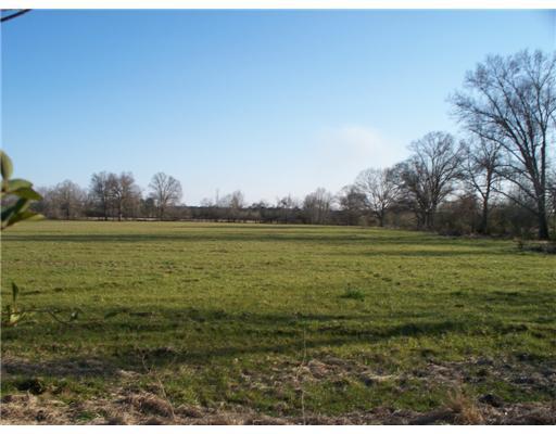 172 New Hope Road Wiggins, MS 39577 - Photo 4 of 8 Additional Photo