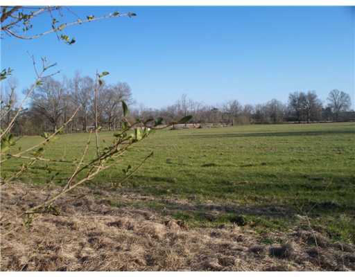 172 New Hope Road Wiggins, MS 39577 - Photo 5 of 8 Additional Photo