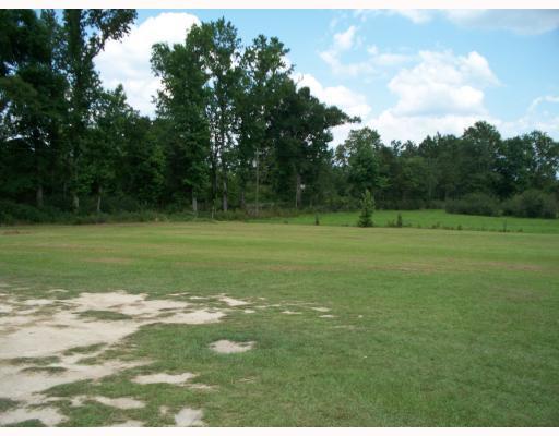 172 New Hope Road Wiggins, MS 39577 - Photo 7 of 8 Additional Photo