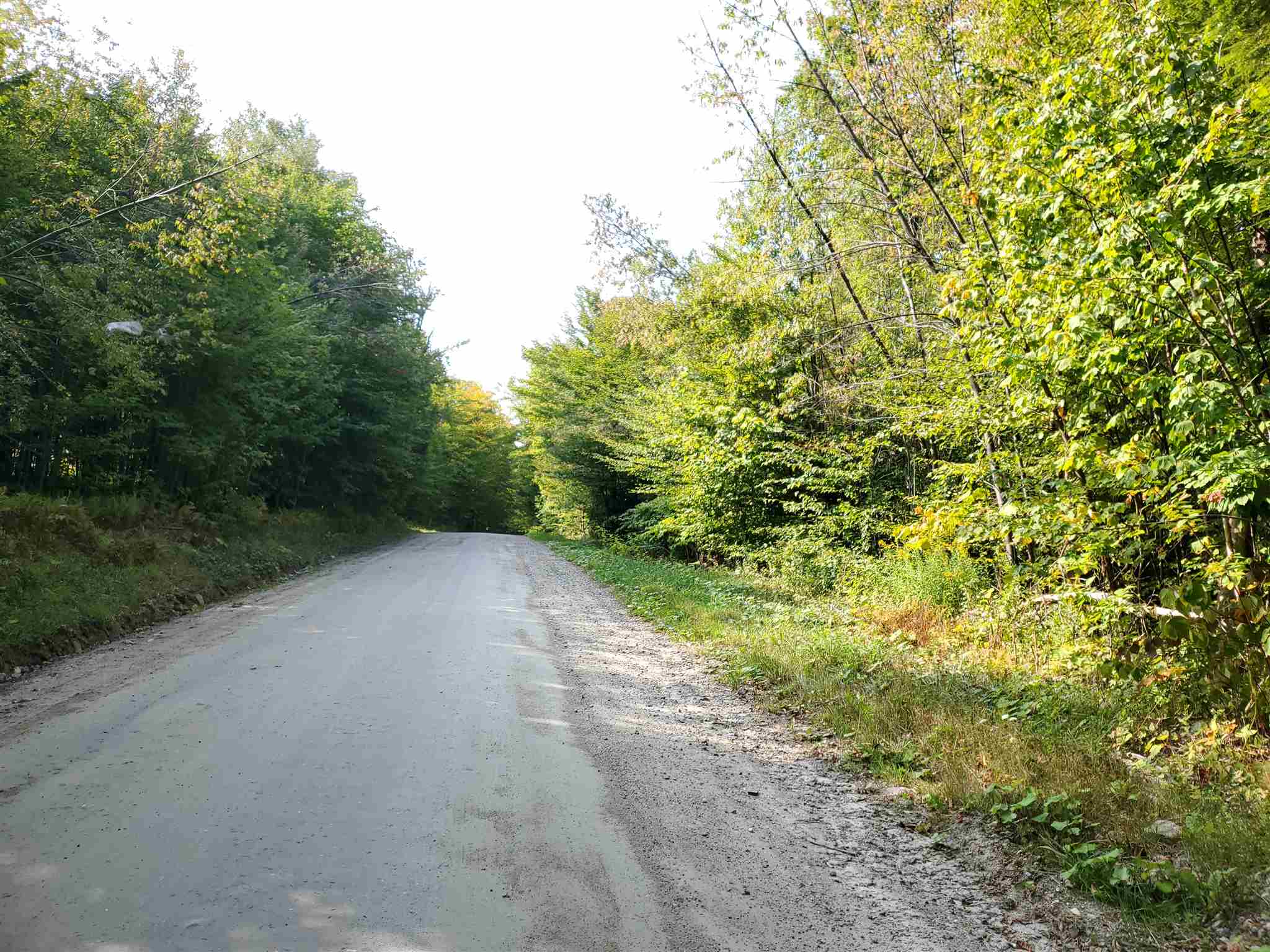 0 Lovejoy Brook Road Ludlow, VT 05149 - Photo 1 of 18
