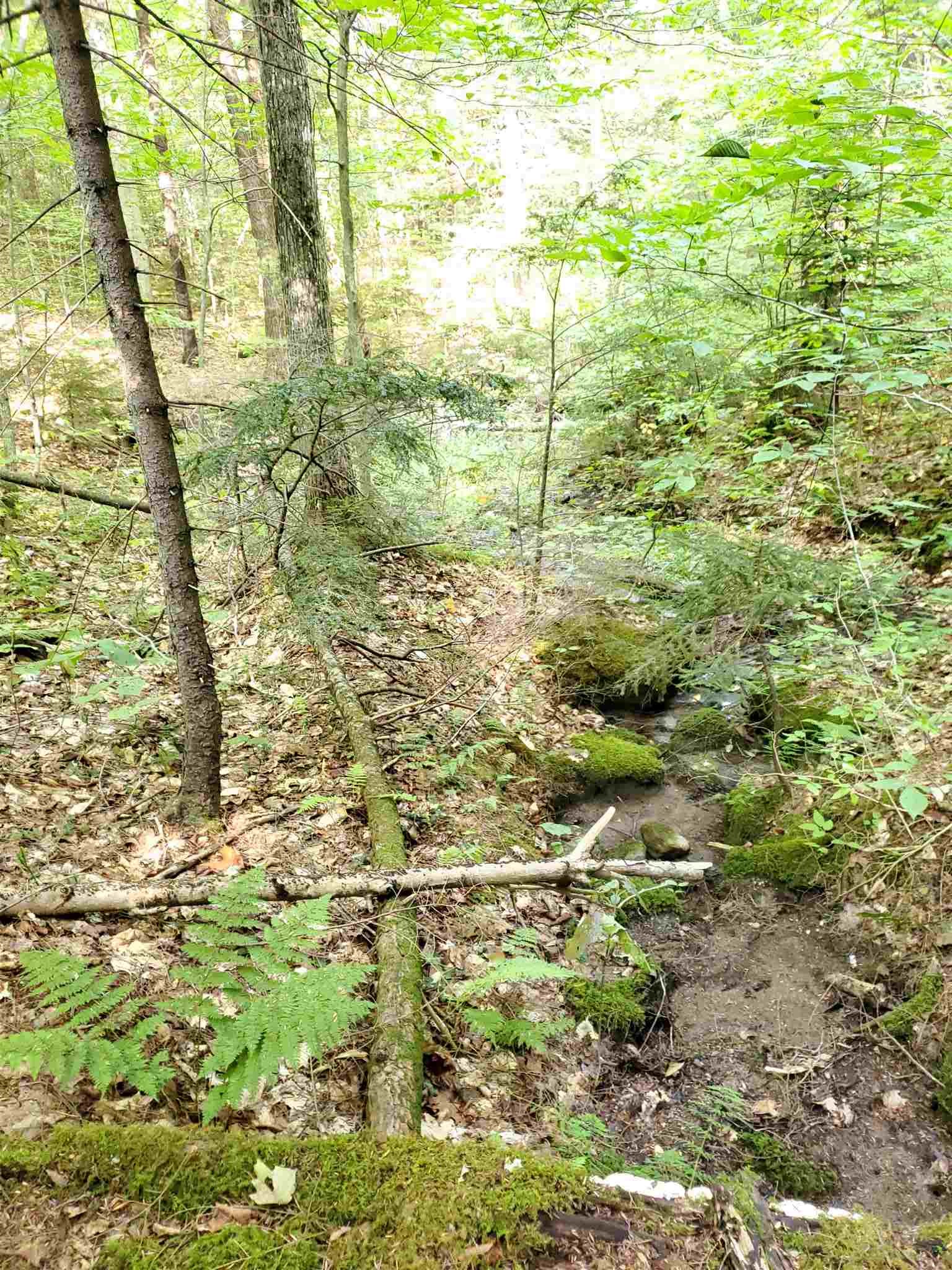 0 Lovejoy Brook Road Ludlow, VT 05149 - Photo 2 of 18
