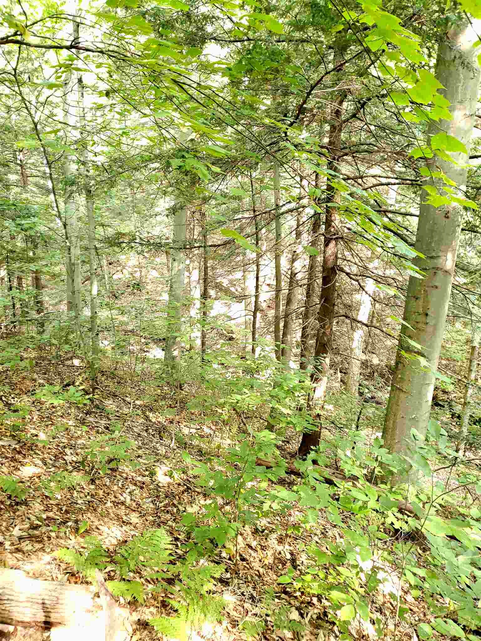 0 Lovejoy Brook Road Ludlow, VT 05149 - Photo 11 of 18