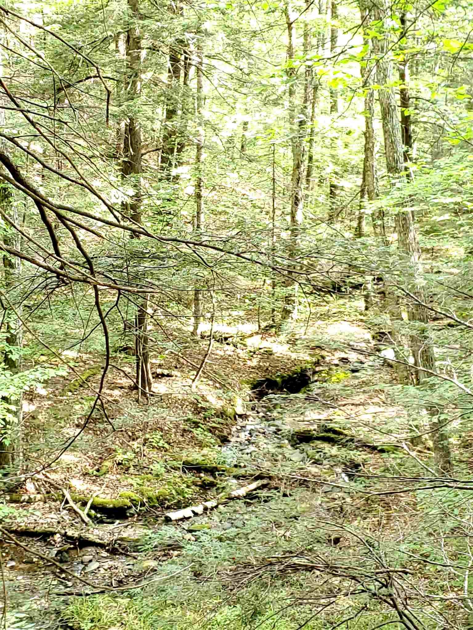 0 Lovejoy Brook Road Ludlow, VT 05149 - Photo 13 of 18