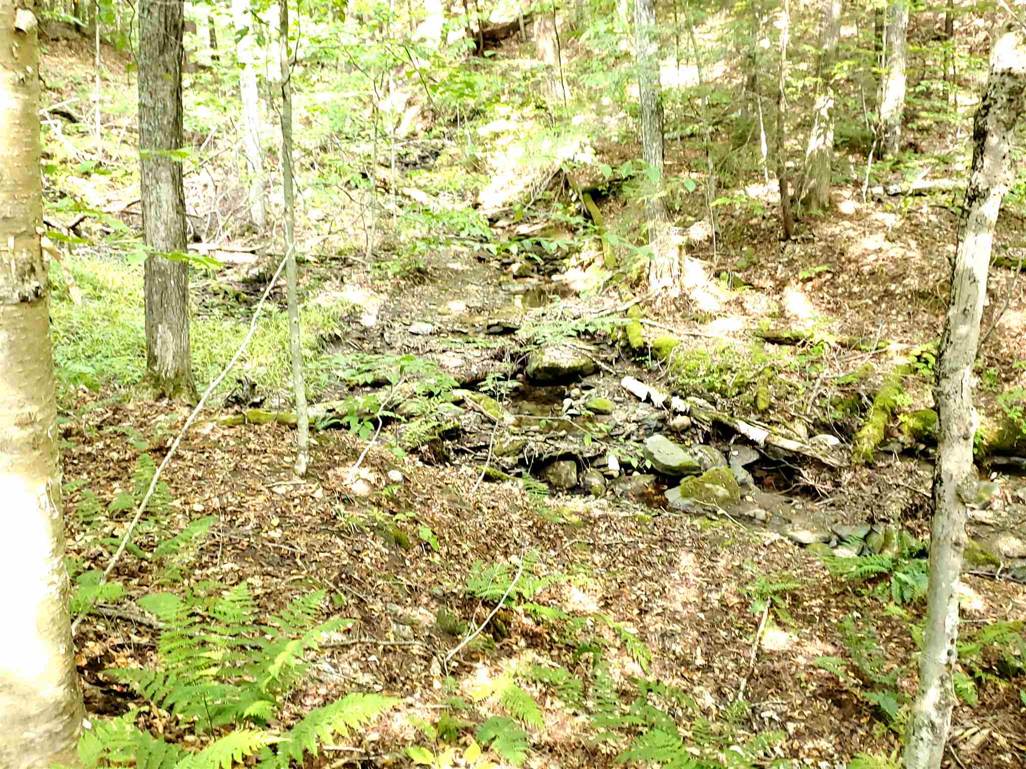 0 Lovejoy Brook Road Ludlow, VT 05149 - Photo 15 of 18