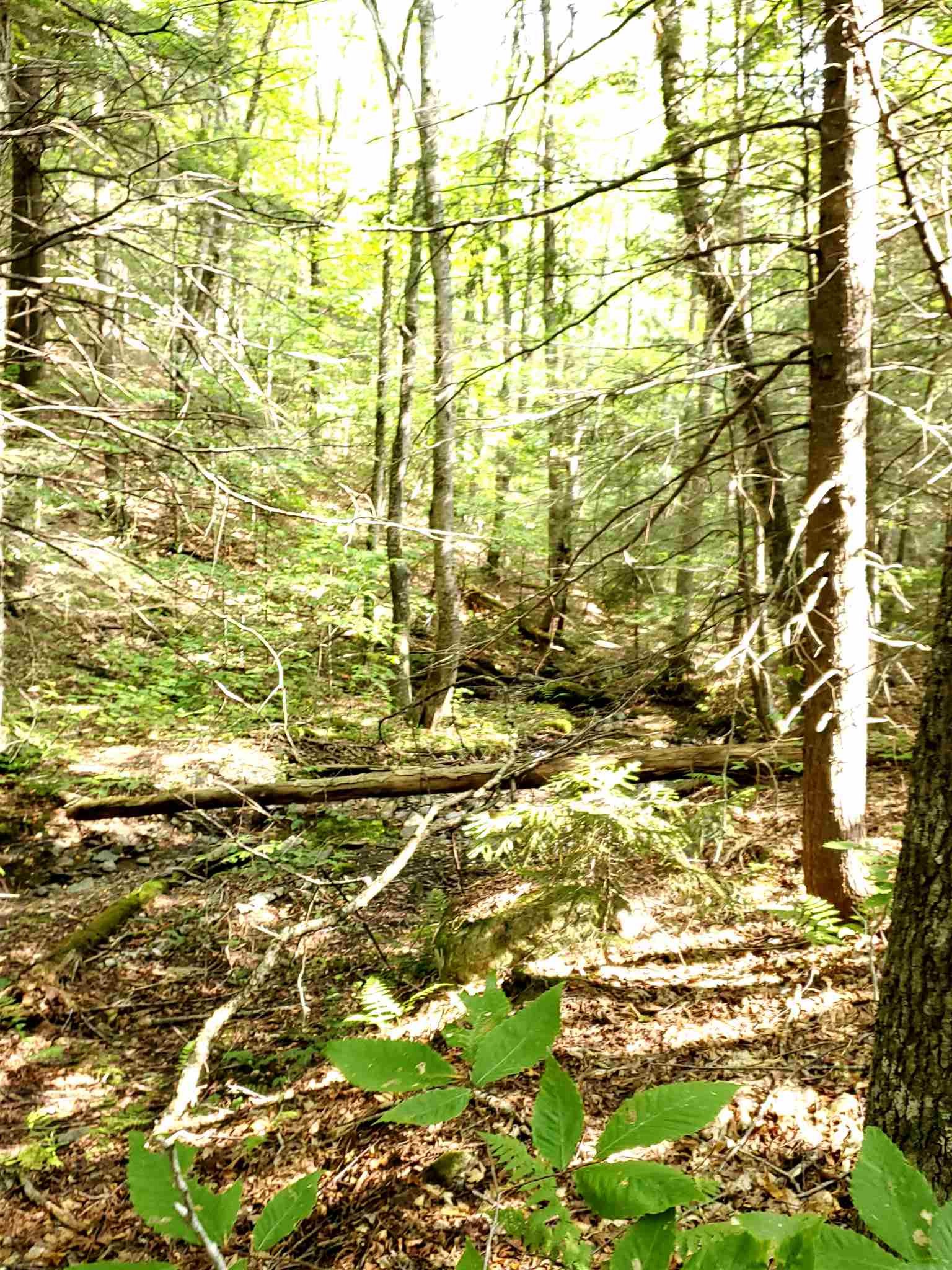 0 Lovejoy Brook Road Ludlow, VT 05149 - Photo 16 of 18