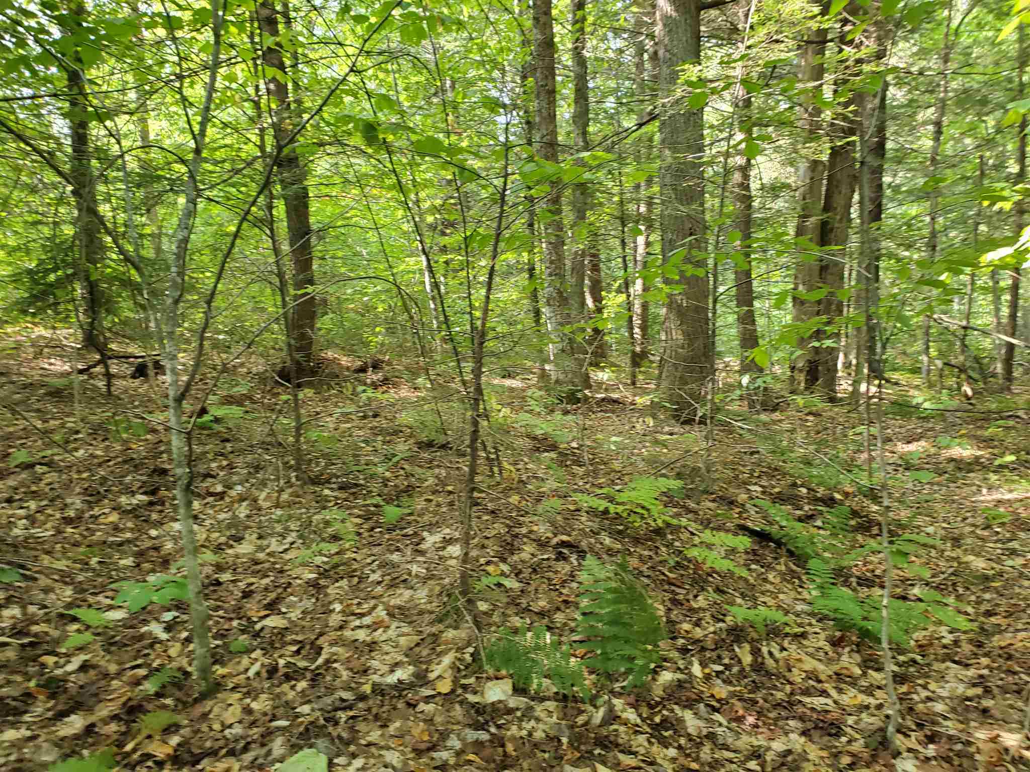 0 Lovejoy Brook Road Ludlow, VT 05149 - Photo 17 of 18