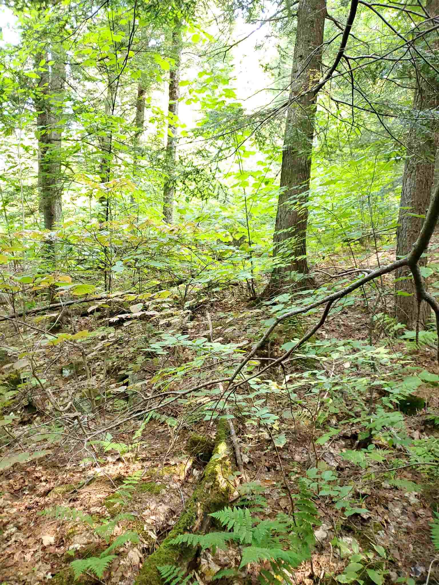 0 Lovejoy Brook Road Ludlow, VT 05149 - Photo 3 of 18