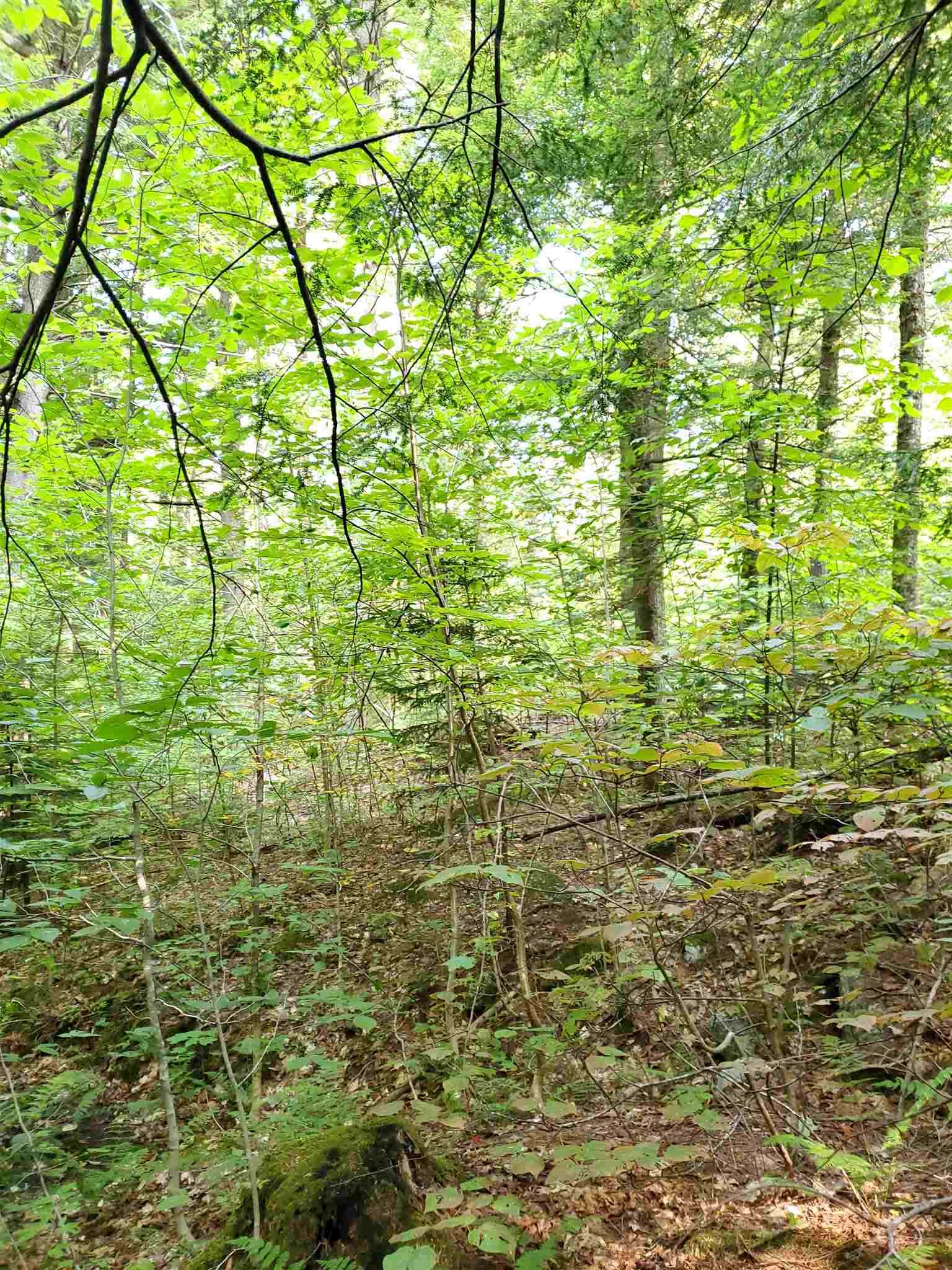 0 Lovejoy Brook Road Ludlow, VT 05149 - Photo 4 of 18