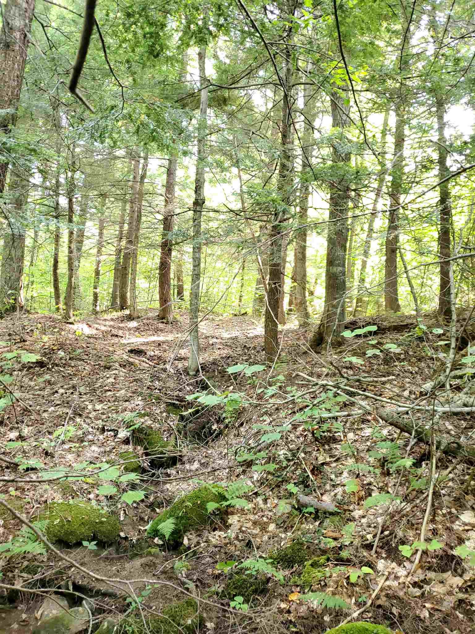 0 Lovejoy Brook Road Ludlow, VT 05149 - Photo 5 of 18
