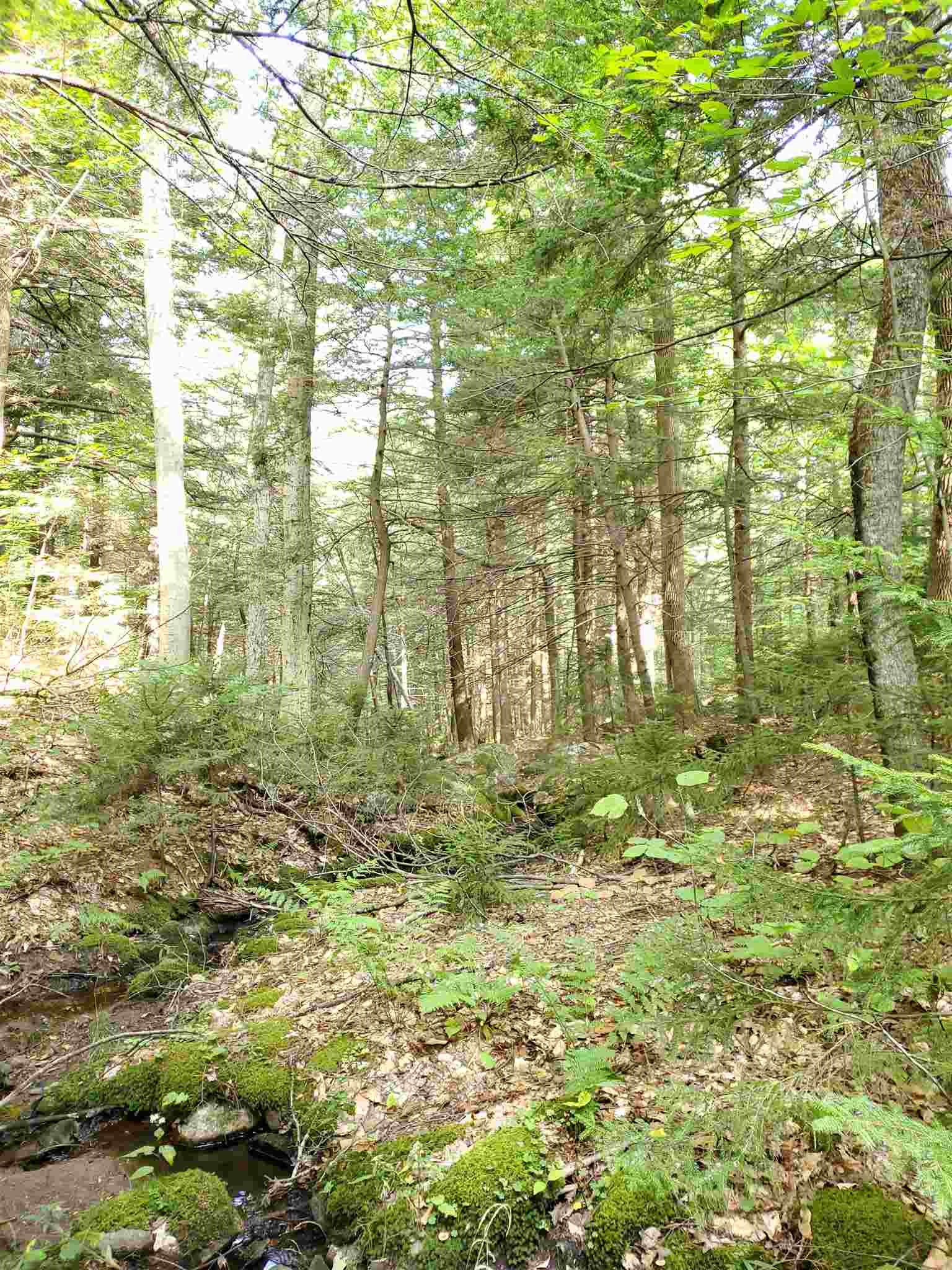 0 Lovejoy Brook Road Ludlow, VT 05149 - Photo 6 of 18
