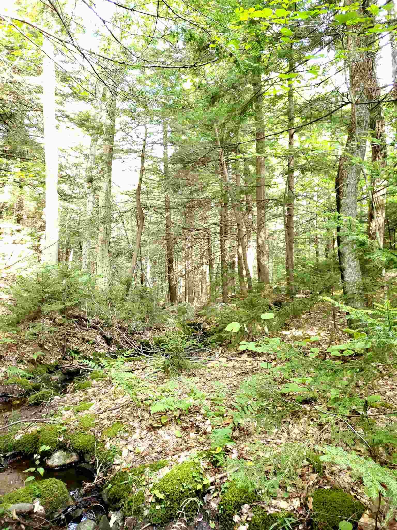 0 Lovejoy Brook Road Ludlow, VT 05149 - Photo 7 of 18