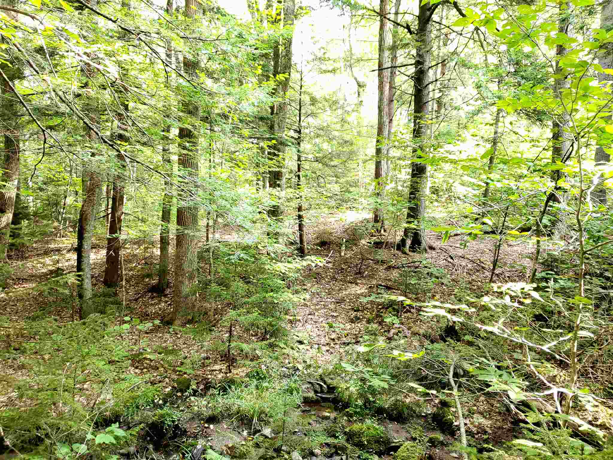 0 Lovejoy Brook Road Ludlow, VT 05149 - Photo 8 of 18