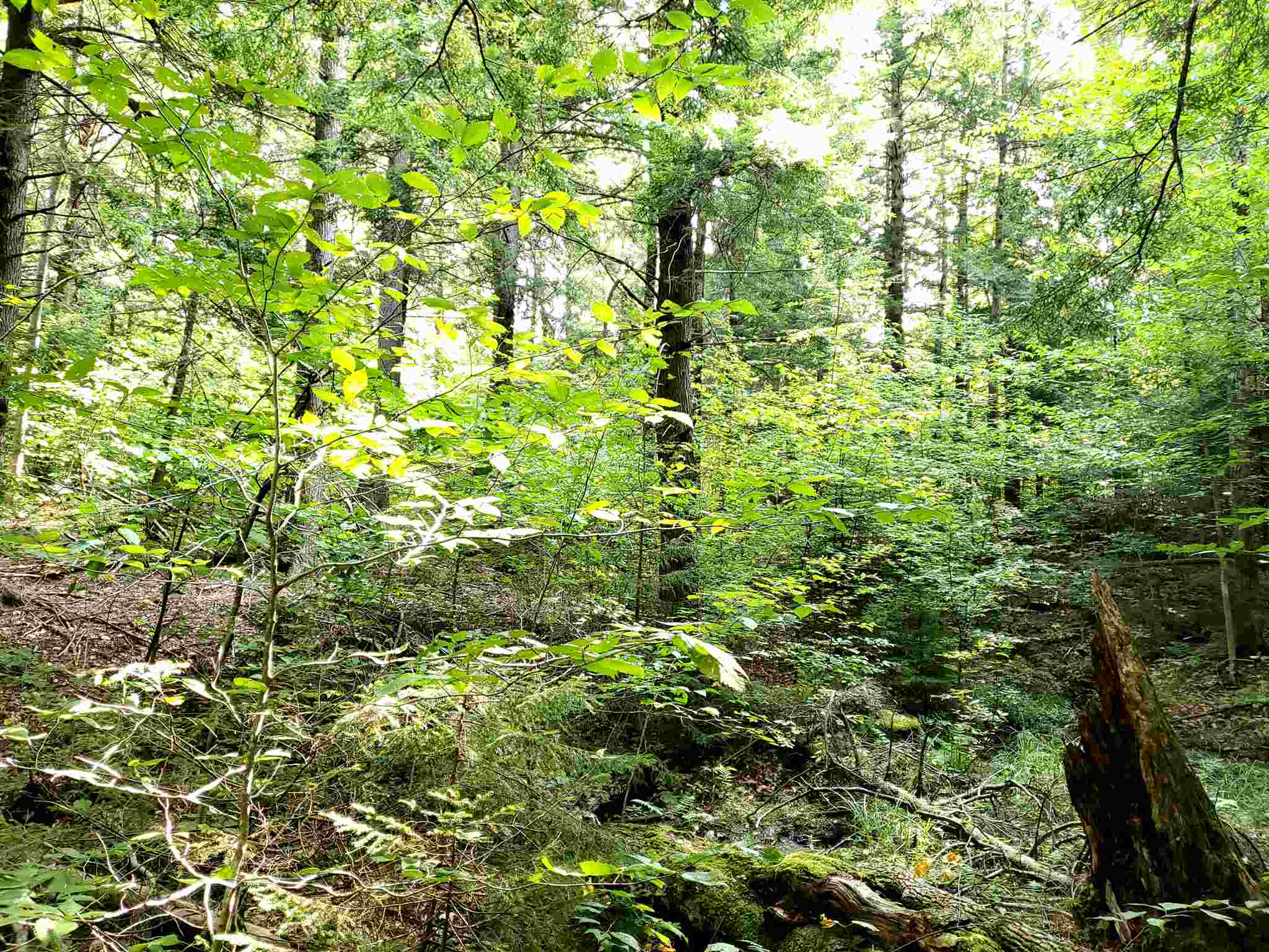 0 Lovejoy Brook Road Ludlow, VT 05149 - Photo 10 of 18